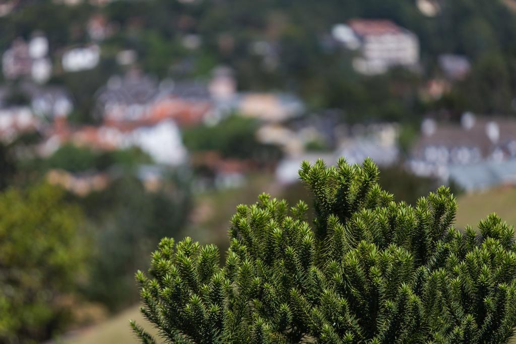 Pousada Campos Verde Campos do Jordão Exterior foto
