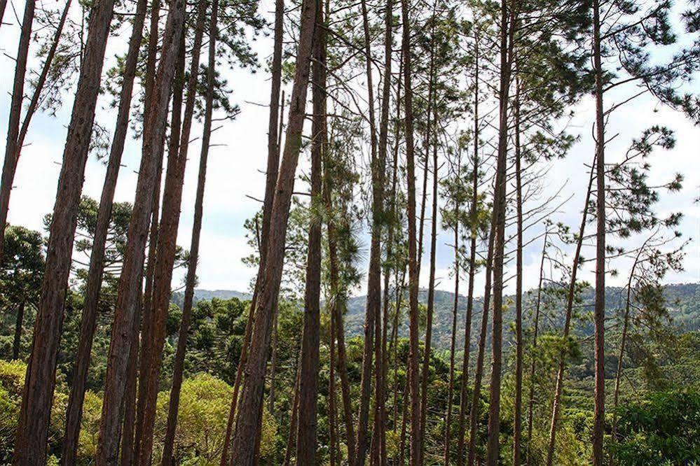Pousada Campos Verde Campos do Jordão Exterior foto